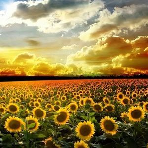 Meet your Posher, Lynn